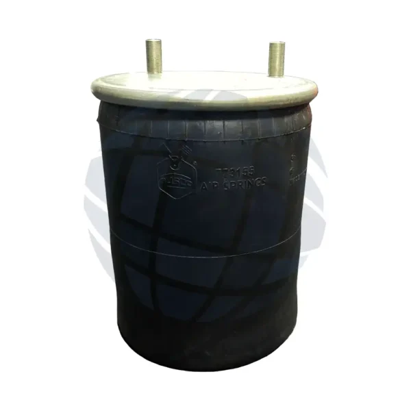 Bolsa de aire para suspensión (773155K - 1R13-155)
