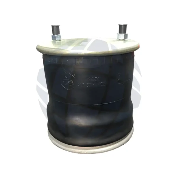 Bolsa de aire para suspensión (778050K 1R14-039)