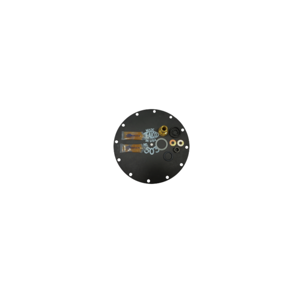 v24